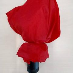 Parplu Rood، كما تم الإبلاغ عنه بواسطة Arriva Limburg Zuid عبر iLost