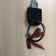 Sleutel, zoals gemeld door LUMC met iLost