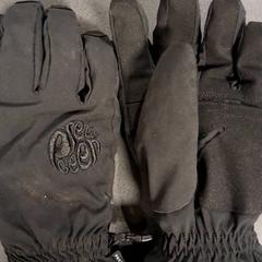 Rękawiczki, zgłoszono przez Breng Nijmegen przy użyciu iLost