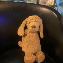 Kosedyr TEDDY BEAR, ANIMAL, som rapportert av Room Mate Bruno ved bruk av iLost