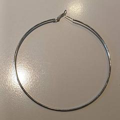 Örhänge Zilver, rapporterat av Padualaan 97 med iLost