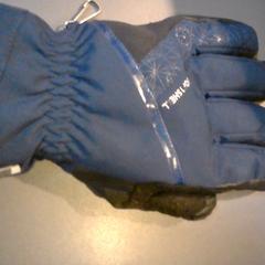 Guanto, come riportato da SnowWorld Landgraaf utilizzando iLost