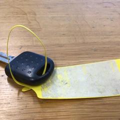 Nøkkel, som rapportert av Gemeente Arnhem ved bruk av iLost