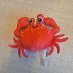 Animal de peluix, segons ha informat Amsterdam ID Aparthotel mitjançant iLost