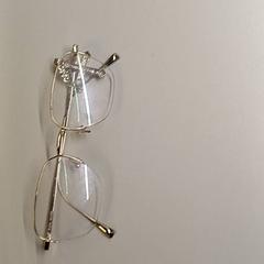 眼鏡 Zilver がiLostで Heidelberglaan 7 によって報告されました