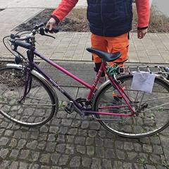Bicykel Paars/Roze, ako bolo nahlásené Gemeente Zonhoven pomocou iLost