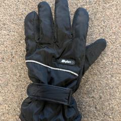 Handschoen Zwart Kaytan, zgłoszono przez Burgers' Zoo przy użyciu iLost