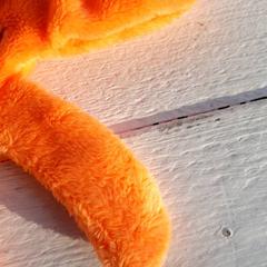 Schiaffo di peluche Oranje, come riportato da DierenPark Amersfoort utilizzando iLost