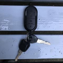 Twee sleutels aan hanger op batterijen, come riportato a iLost