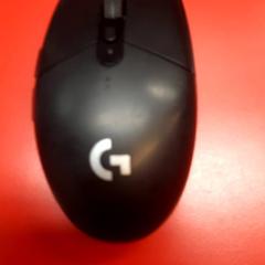 Topo, come riportato da UvA REC utilizzando iLost