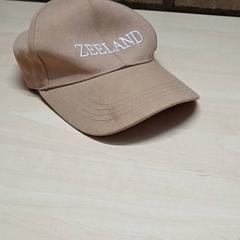 Casquette, as reported by Arriva Oost-Brabant using iLost