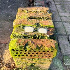 Kinderbrilletje met blauw montuur, jak zgłoszono do iLost