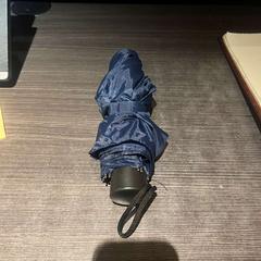 Esernyő, amint azt Hotel Apeldoorn az iLost segítségével jelentette.