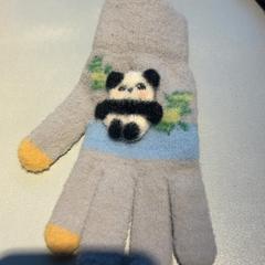 Rukavice, ako bolo nahlásené Madurodam pomocou iLost