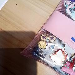 Case, as reported by Beekse Bergen Resorts en Hotel using iLost