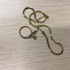 Collana, come riportato da Gemeente Arnhem utilizzando iLost