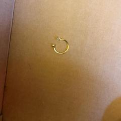 Anillo Gouden ring sterretje, ha sido reportado por Into The Great Wide Open con iLost