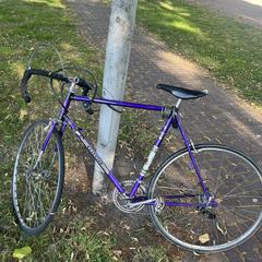 Paarse racefiets, iLost-i jakinarazi zaion moduan