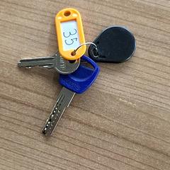 Chaveiro, segundo informou RRReis Veluwe Zuid - Ede usando iLost