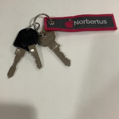 Nøkkel, som rapportert av TU/e - Receptie Atlas ved bruk av iLost