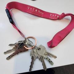 Keys, as reported by IJsselland Ziekenhuis using iLost