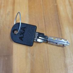 Clau de bicicleta, segons ha informat Bolognalaan 101 mitjançant iLost