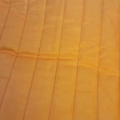 Rugtas Oranje، كما تم الإبلاغ عنه بواسطة Arriva Friesland / Groningen عبر iLost