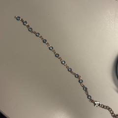 Armband, rapporterat av Burgers' Zoo med iLost