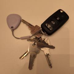 Sleutelbos، كما تم الإبلاغ عنه عبر iLost