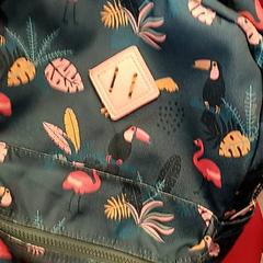 Bag, as reported by Syntus Provincie Utrecht using iLost