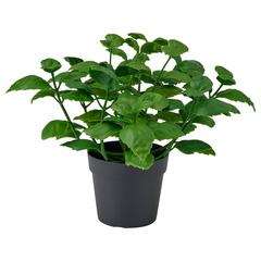 IKEA termék, amint azt IKEA Tokyo-Bay az iLost segítségével jelentette.