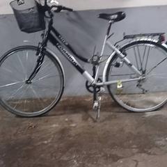 Kvinners sykkel Citty-Formula Zwart-Zilver, som rapportert av Fietsdepot Hasselt ved bruk av iLost