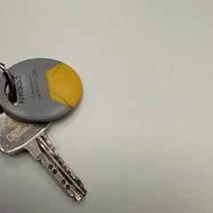 Key, as reported by ilévia using iLost