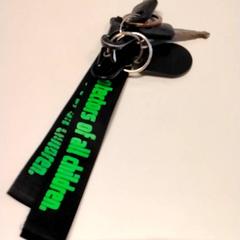 Fahrradschlüssel, gemeldet von Gemeente Puurs-Sint-Amands über iLost