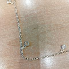 Ketting, segons ha informat Politiezone Rivierenland mitjançant iLost