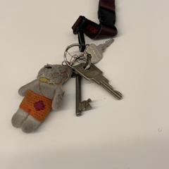 열쇠, iLost를 사용하여 HvA Amstelcampus에 보고됨