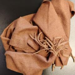 Sjal Bruin, rapporterat av Johan Cruijff ArenA med iLost