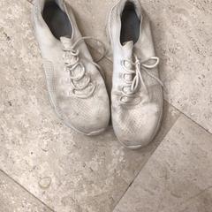 Zapatilla de deporte, ha sido reportado por Hotel van der Valk Maastricht con iLost