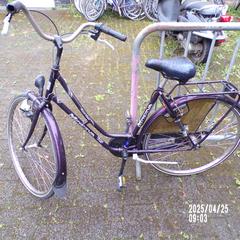 Bicicleta Damesfiets, Minerva, Paars, como reportado por Fietsdepot Leopoldsburg utilizando o iLost