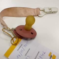 様々な - Fopspeen がiLostで Centraal magazijn によって報告されました