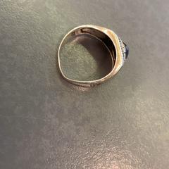 Ring, as reported by Eindhoven Airport using iLost