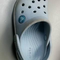 Shoe Blauwe croc, as reported by Burgers' Zoo using iLost