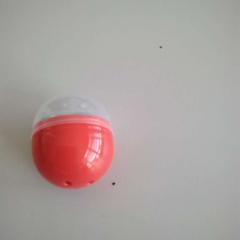 Toy, as reported by Twisto using iLost