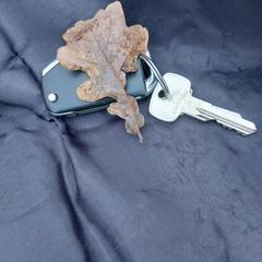 sleutels, segundo informou a iLost