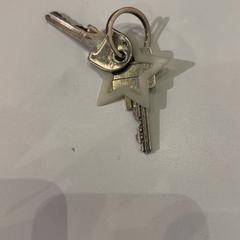 Sleutels Met ster hanger, zoals gemeld door Pathé de Kuip met iLost
