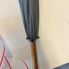 Umbrella, as reported by GVB using iLost