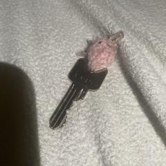 Huissleutel، كما تم الإبلاغ عنه عبر iLost