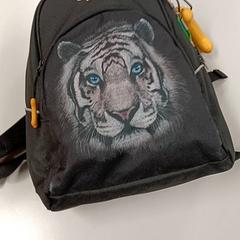 Rucksack, gemeldet von Regio Antwerpen - Brussel über iLost