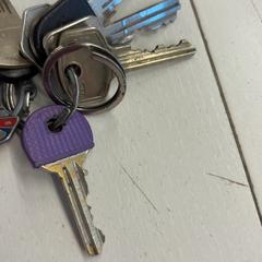 Key, as reported by GVB using iLost
