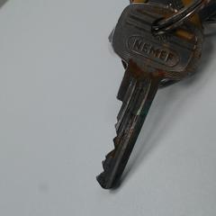 Sleutelbos, a été signalé par Walibi Holland utilisant iLost